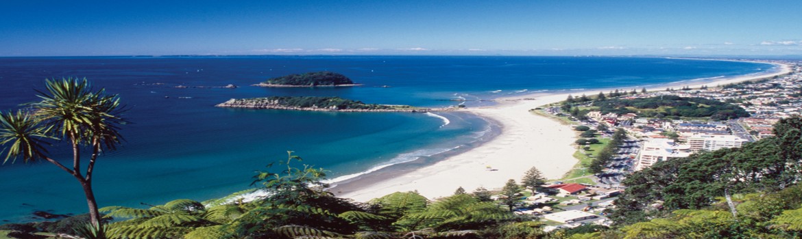 Bay of Plenty