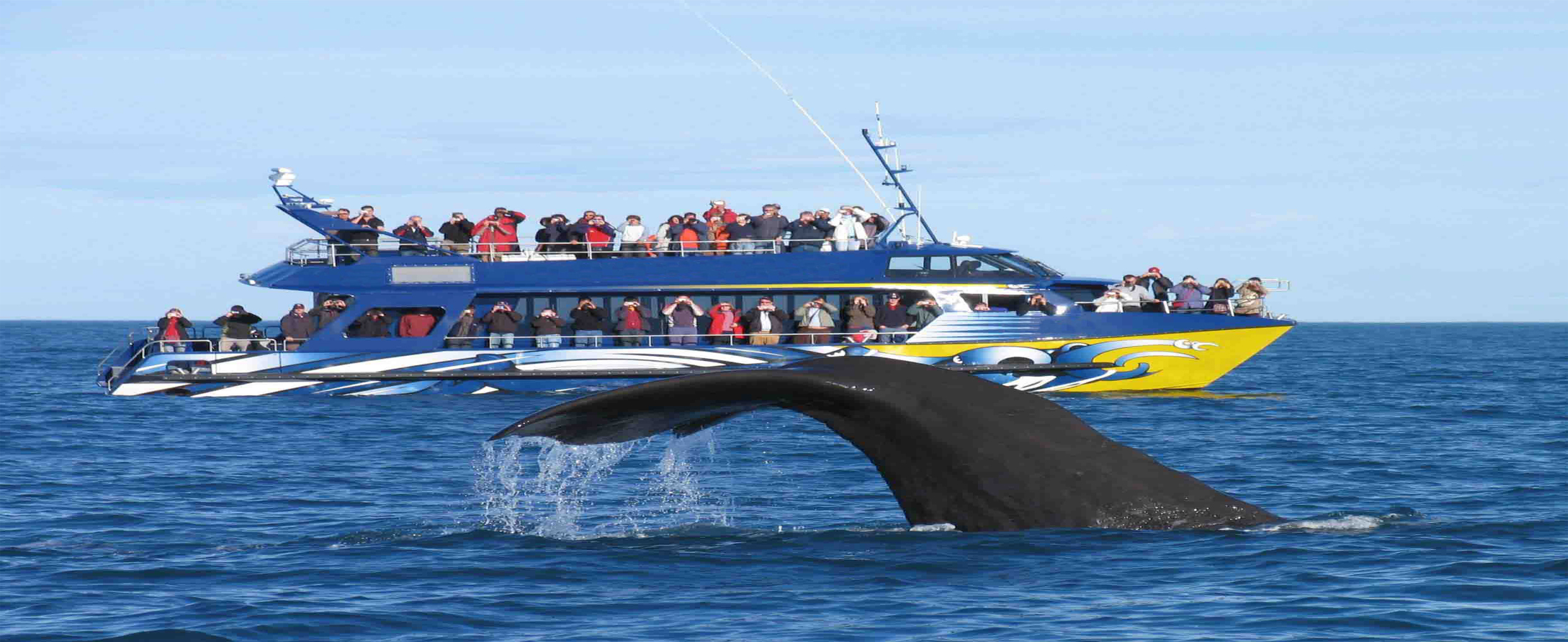 Christchurch--Kaikoura