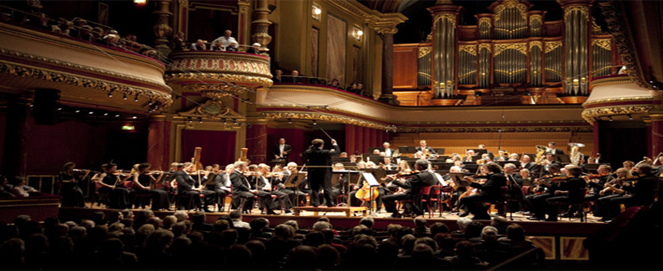 Wellington- Symphony Orchestra